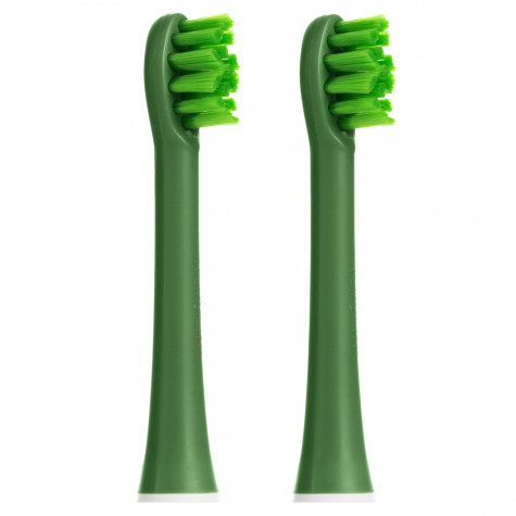 Электрическая звуковая зубная щётка Revyline RL 075 Special Color Edition Green Snake